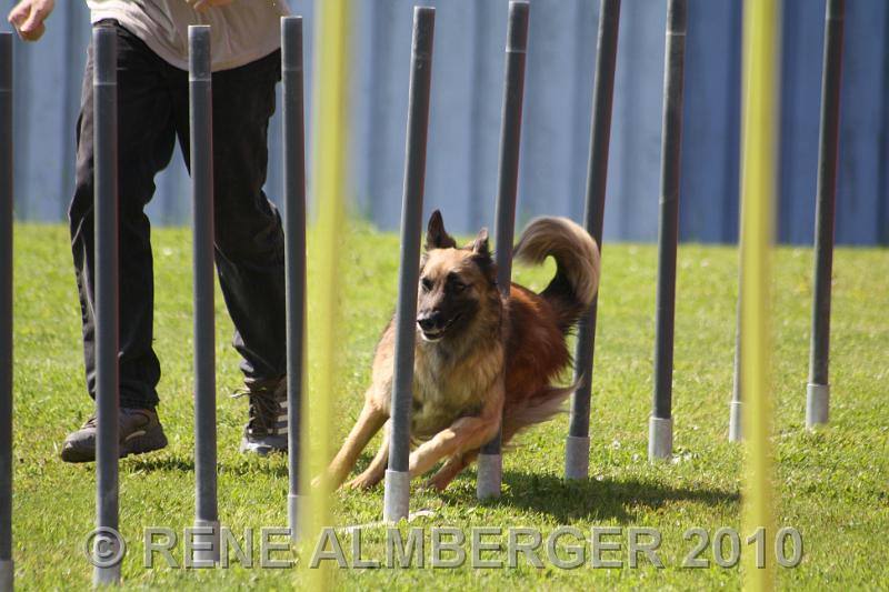 Bild 381.jpg